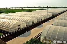 独立服务器　马来西亚的ip地址 2426新加坡有高速公路吗