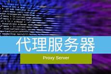 新加坡proxy服务器
