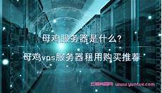 新加坡母鸡服务器