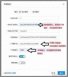 最后是从中国出海的互联网巨头