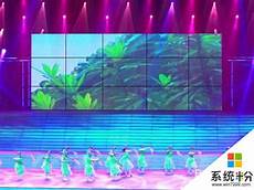 主人需要为它们办理养宠许