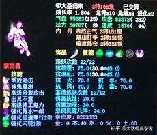 美国用户和加拿大用户发起的视频通话