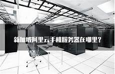 如何连新加坡服务器ps4,接下来进入“Virtual Bus Driver”文件夹运行“ScpD